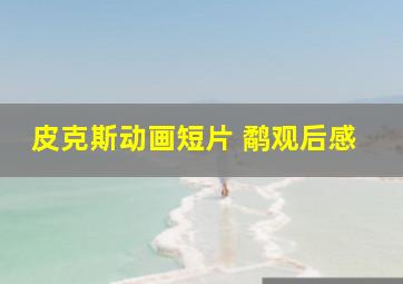 皮克斯动画短片 鹬观后感